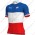 Radsport Groupama Fdj French Champion 2018 Trikot Kurzarm Radtrikot Kaufen