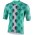 Fahrradbekleidung Radsport 2020 BIANCHI MILANO Roncaccio Trikot Kurzarm Outlet Grün Radtrikot Kaufen