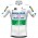 Fahrradbekleidung Radsport 2020 DECEUNINCK QUICK-STEP Irish Champion Trikot Kurzarm Outlet Radtrikot Kaufen