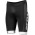 Fahrradbekleidung Radsport 2020 SCOTT RC TEAM ++ radhose schw Radtrikot Kaufen