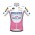 Fahrradbekleidung Radsport 2020 DECEUNINCK QUICK-STEP Giro d' Italia Trikot Kurzarm Outlet fuchs Radtrikot Kaufen