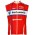 Barloworld 2009 Radsport-Windweste