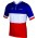 FRANCAISE DES JEUX (FDJ) Französischer Meister 2014/2015 Kurzarmtrikot (kurzer Reißverschluss) -B'TWIN Radsport-Profi-Team