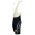 Illes Baleares 2004 Hose (Trägerhose)-Radsport-Profi-Team