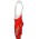 Jartazi 2005 Hose (Trägerhose)-Radsport-Profi-Team