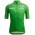 Tour de France 2022 grünes Trikot (maillot vert, bester Sprinter) Radtrikot kurzarm