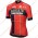 Profiteams Team Bahrain Merida 2019 Trikot Kurzarm Outlet Radtrikot Kaufen