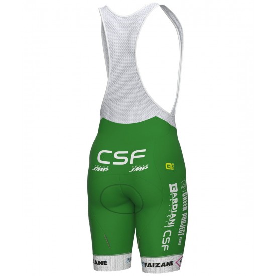 Green Project-Bardiani Csf-Faizane' 2023 Set(Radtrikot langer RV+Trägerhose)-ALE Radsport-Profi-Team Radtrikot Kaufen Green Project-Bardiani Csf-Faizane' 2023 Set(Radtrikot langer RV+Trägerhose)-ALE Radsport-Profi-Team Radtrikot Kaufen