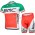 2015 BMC Radbekleidung Radtrikot Kurzarm und Fahrradhosen Kurz Rot und Grün Radtrikot Kaufen