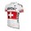 2015 Pearl Izumi BMC Radtrikot Kurzarm Radtrikot Kaufen