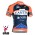 2015 Vini Fantini NIPPO Radtrikot Kurzarm Radtrikot Kaufen