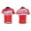 2012 Katusha Russland Radtrikot Kurzarm Rot Radtrikot Kaufen