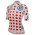 Damen Tour de France 2024 Pois frau trikot Radtrikot Kaufen