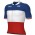 Herren Ale Groupama FDJ 2024 trikot-Franzosischer meister Radtrikot Kaufen