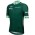 Herren Tour de France 2024 Fan Line Grun trikot Radtrikot Kaufen