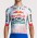 Herren Specialized Red Bull Bora-Hansgrohe 2025 Race trikot-Tdf Radtrikot Kaufen