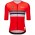 Herren Santini UCI Weltmeister 2025 trikot-Schweiz Radtrikot Kaufen