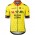 Herren Team Visma Lease a bike 2025 trikot-Wout Van Aert Radtrikot Kaufen