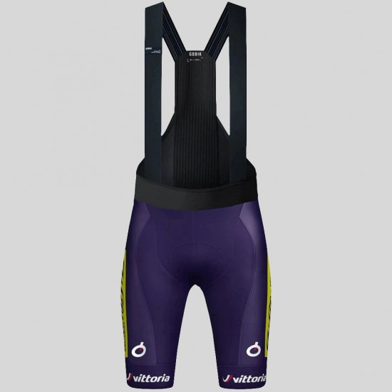 Herren Gobik Wilier Vittoria 2025 Absolute Print K10 tragerhose Radtrikot Kaufen