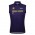Herren Santini Paris Nice 2025 weste Radtrikot Kaufen